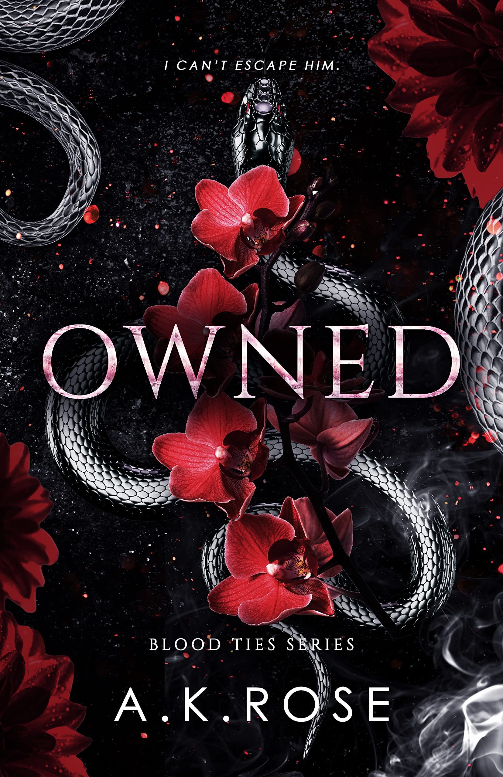 Owned (Blood Ties Book 4) Cover